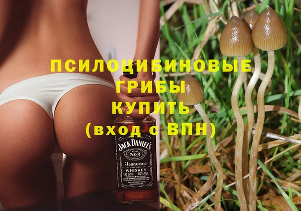 гидропоника Алзамай