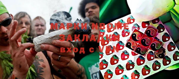 гидропоника Алзамай