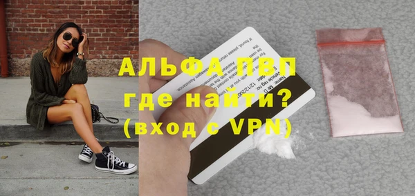 шишки Абаза