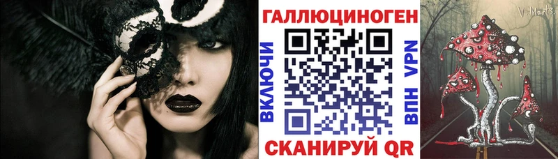 купить наркоту  Шахты  Псилоцибиновые грибы Psilocybine cubensis 