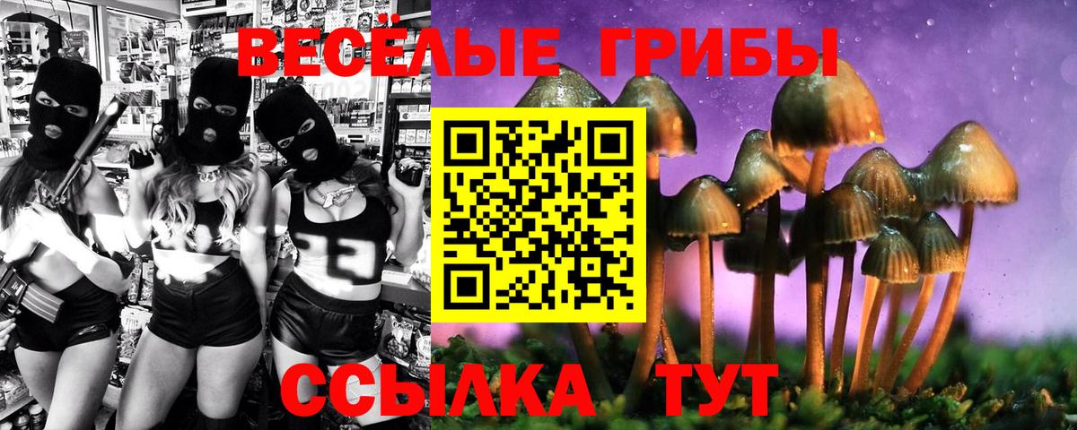 Шахты  Галлюциногенные грибы Cubensis  Вход с VPN 