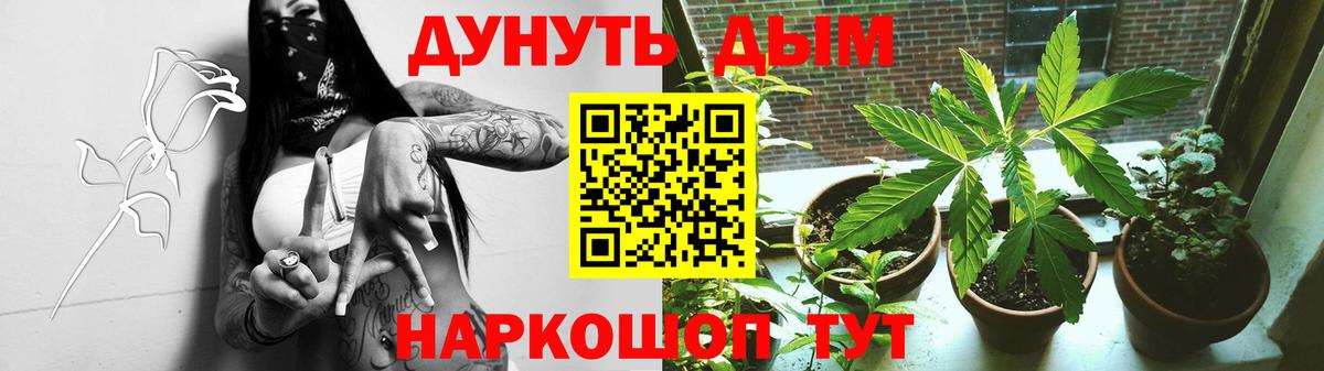 Канабис гибрид Шахты
